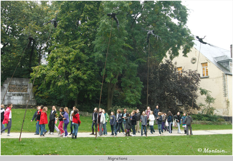 100930_006_Migrations