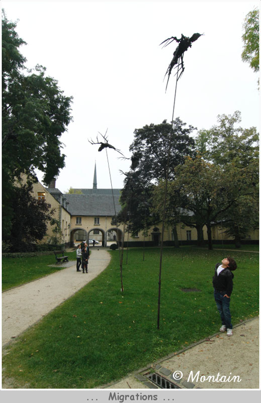 100930_008_Migrations