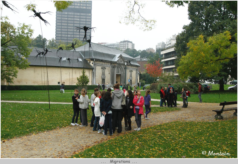 100930_009_Migrations