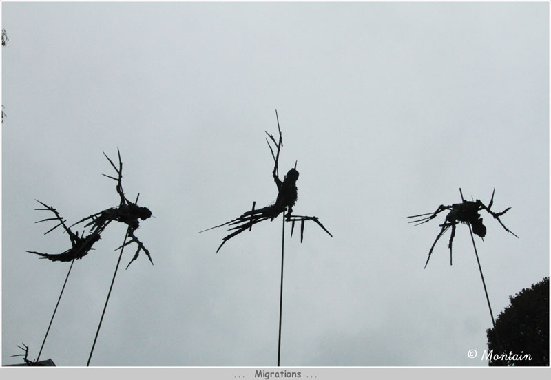 100930_011_Migrations