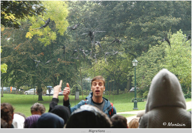 100930_020_Migrations