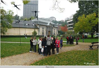 100930_009_Migrations