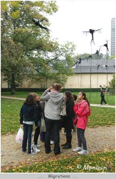 100930_010_Migrations