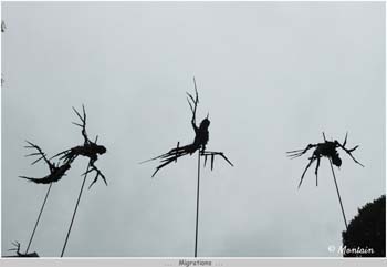 100930_011_Migrations