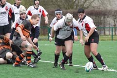 D2_B_Kib_20070128_056