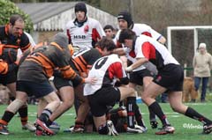 D2_B_Kib_20070128_072