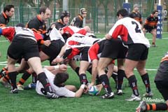 D2_B_Kib_20070128_084