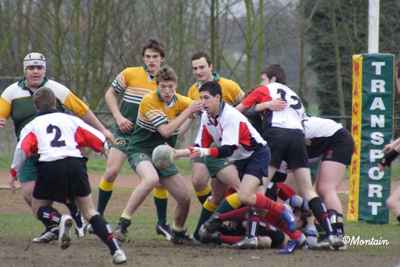 Ca_Dender_B_20070324_002