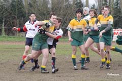 Ca_Dender_B_20070324_038