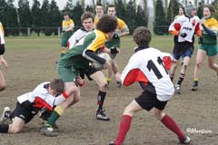 Ca_Dender_B_20070324_042