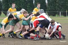 Ca_Dender_B_20070324_046