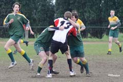 Ca_Dender_B_20070324_056
