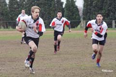 Ca_Dender_B_20070324_068
