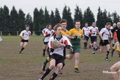 Ca_Dender_B_20070324_069