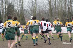 Ca_Dender_B_20070324_080