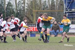 Ca_Dender_B_20070324_094