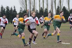 Ca_Dender_B_20070324_098