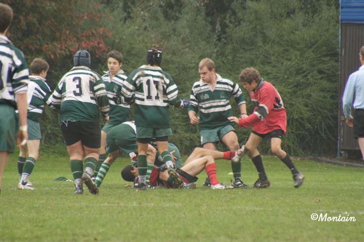 Ca_Soi_B_141006_117