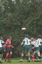 Ca_Soi_B_141006_028