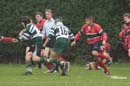 Ca_Soi_B_141006_036