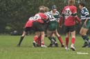 Ca_Soi_B_141006_043