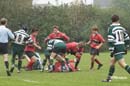 Ca_Soi_B_141006_047