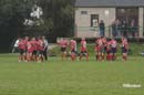Ca_Soi_B_141006_051