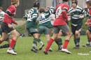 Ca_Soi_B_141006_059