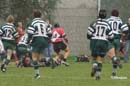 Ca_Soi_B_141006_071