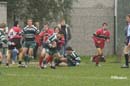 Ca_Soi_B_141006_073
