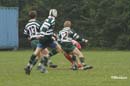 Ca_Soi_B_141006_086