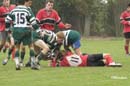 Ca_Soi_B_141006_093