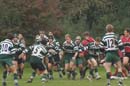 Ca_Soi_B_141006_095