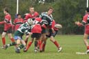 Ca_Soi_B_141006_099