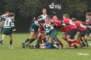 Ca_Soi_B_141006_102