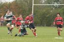 Ca_Soi_B_141006_118