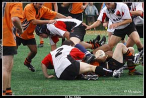 D2-B_Kib_080907__072_D15904