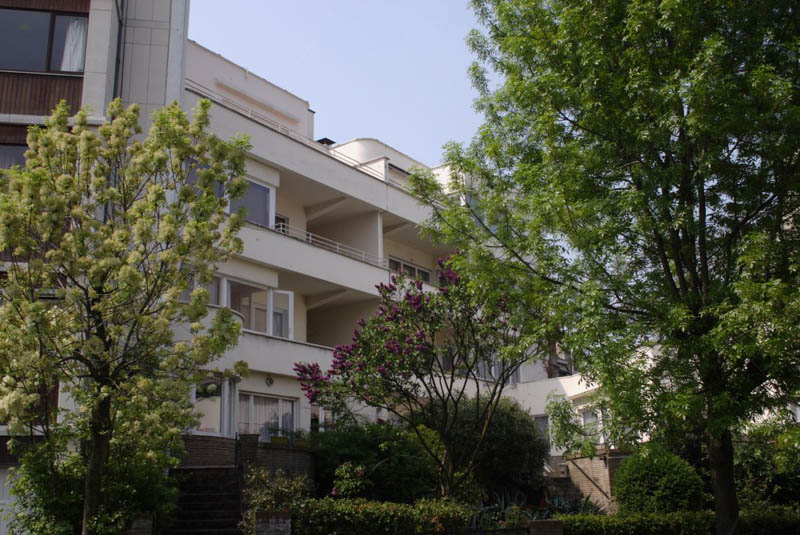 Anémone_13_02