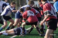 Ca_B_Vis_071117_015_3_4867
