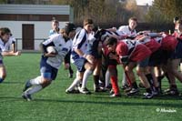 Ca_B_Vis_071117_052_3_4889