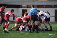 Ca_B_Vis_071117_077_3_4928