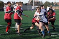 Ca_B_Vis_071117_094_3_4957