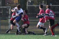 Ca_B_Vis_071117_122_4_7085