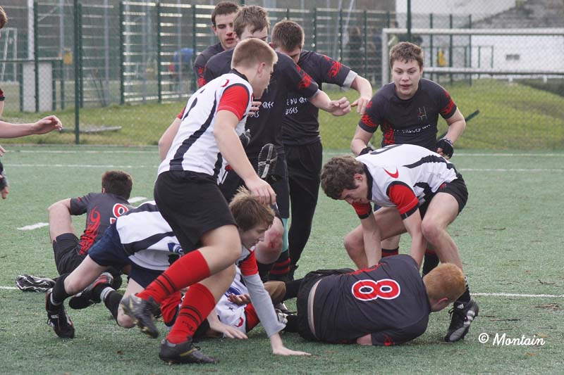Ca_B_Mons_080126_106_d_2109