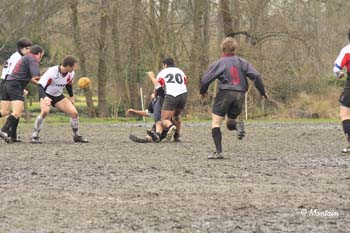 D2_Antw_B_080120_034_d_1796