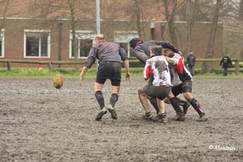 D2_Antw_B_080120_107_d_1894