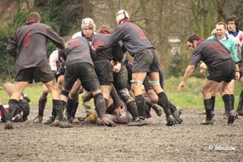 D2_Antw_B_080120_115_4_8097