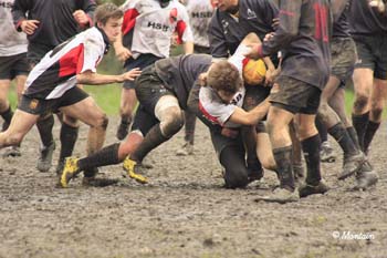 D2_Antw_B_080120_128_d_1924