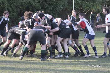 D2_Kit_B_20080224_171_4302