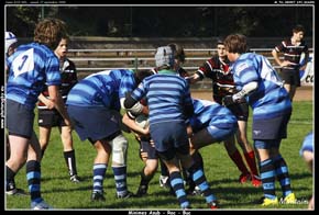 M_Tri_080927_193_D16691